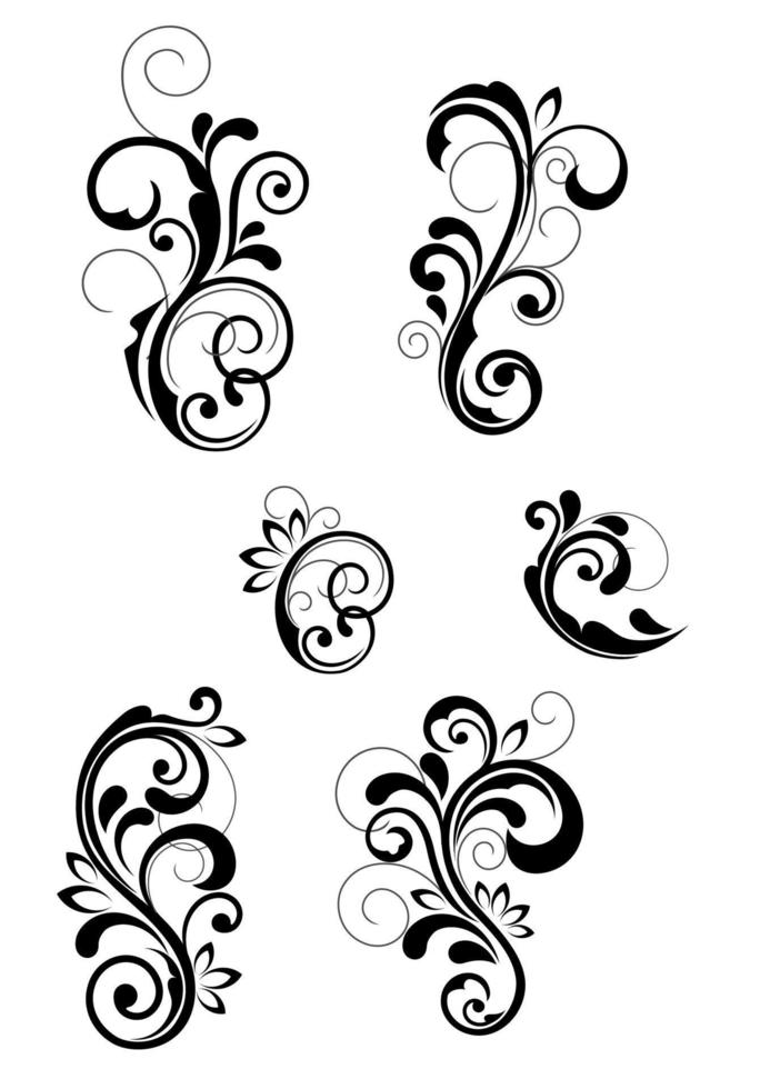 Floral cartouches and flourishes vector