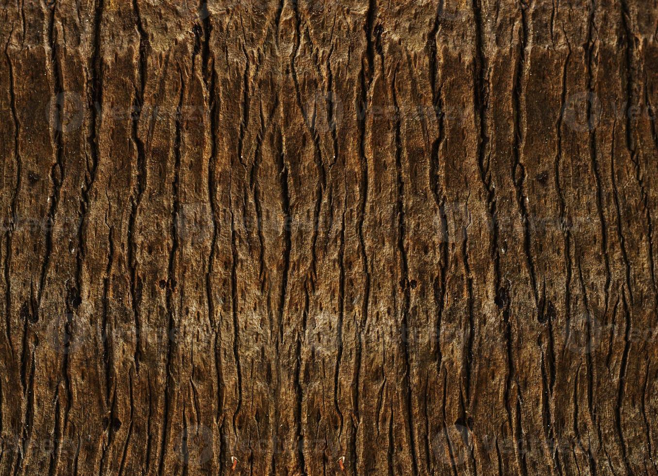 árbol tronco textura naturaleza fondo 11215389 Foto de stock en Vecteezy