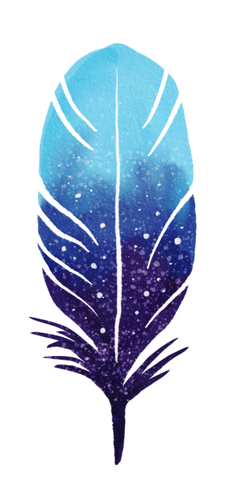 watercolor painted feather png