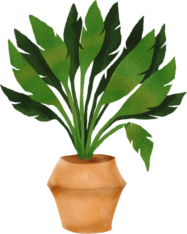watercolor painted houseplant png