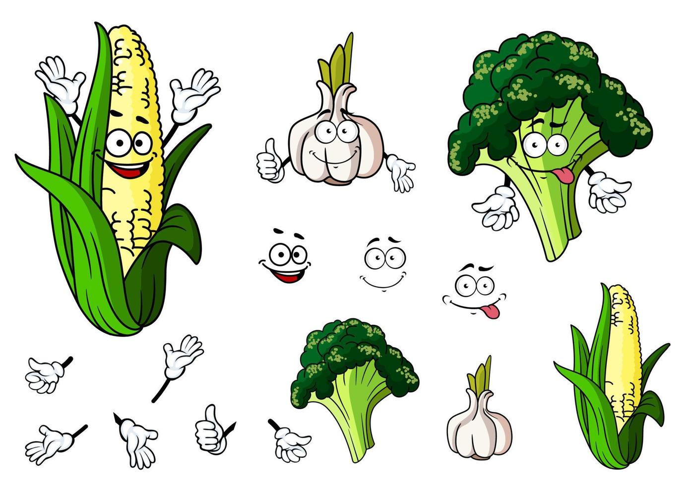 Broccoli, garlic and corn vegetables vector