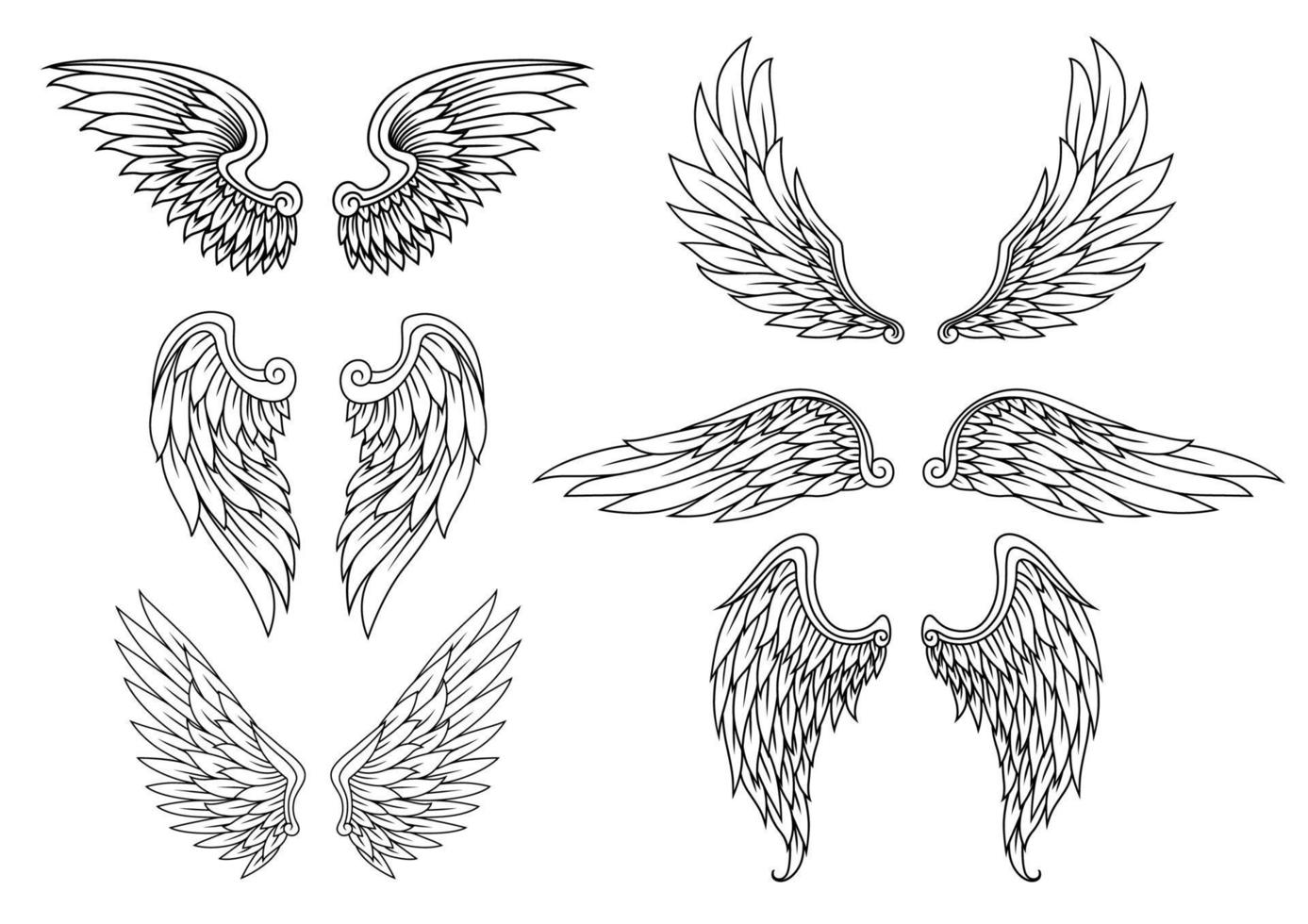 Heraldic wings set vector