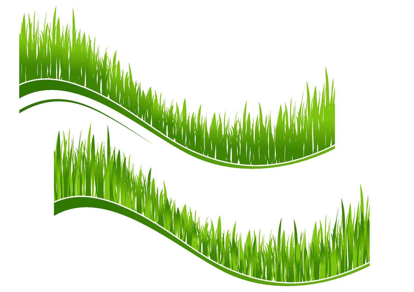 Two waves of green grass vector