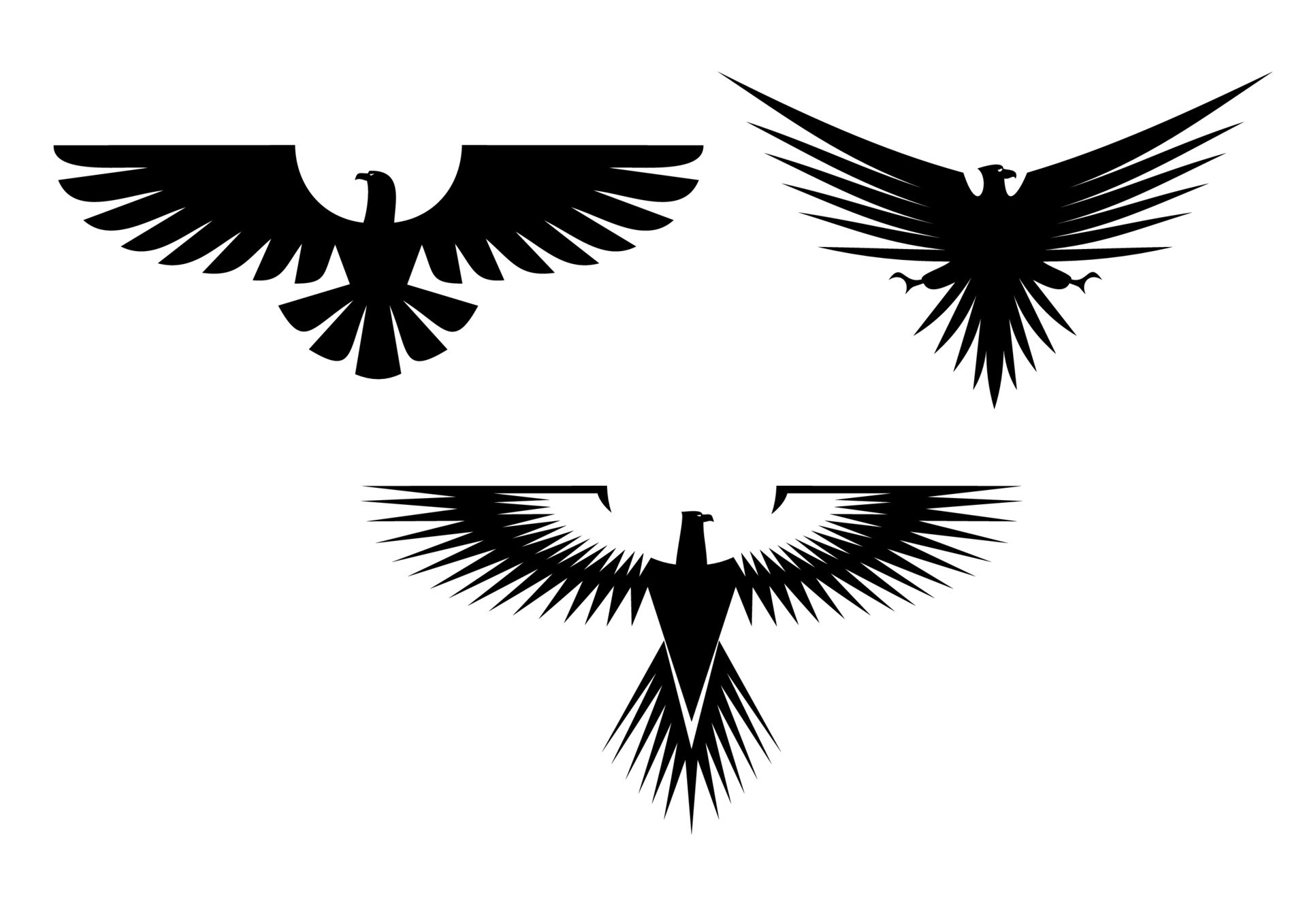 Falcon Tattoo Transparent PNG  800x446  Free Download on NicePNG