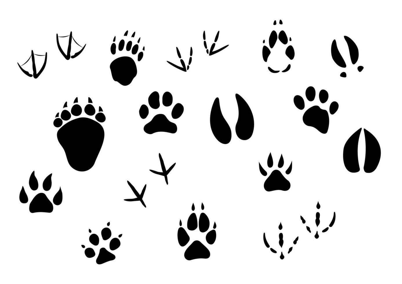 Animal footprints and tracks vector