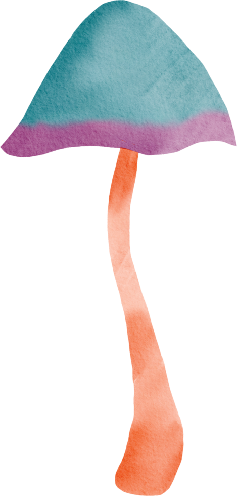 Watercolor colorful mushroom png