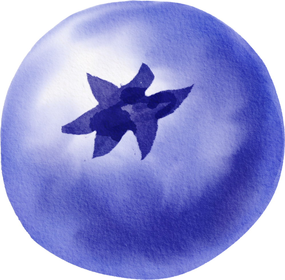 watercolor painting blueberry png