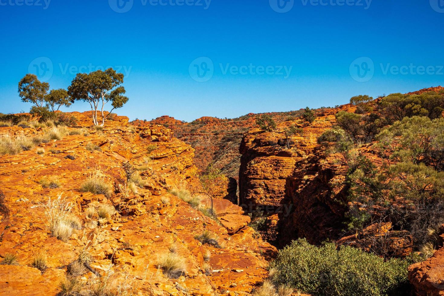 Looking into a canyon photo