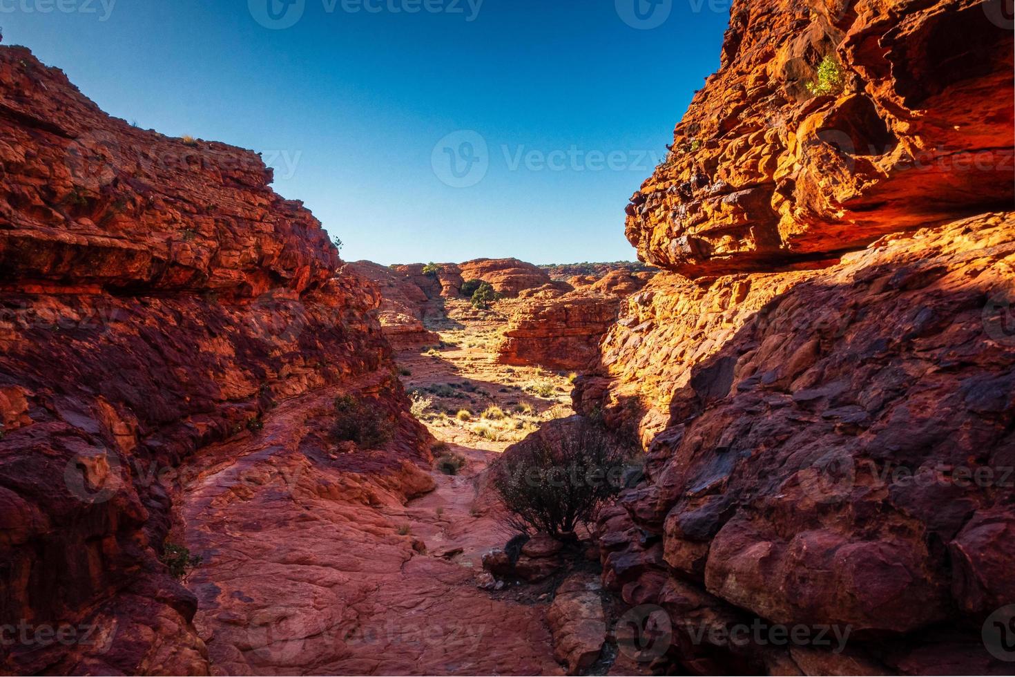 Alien rock world photo