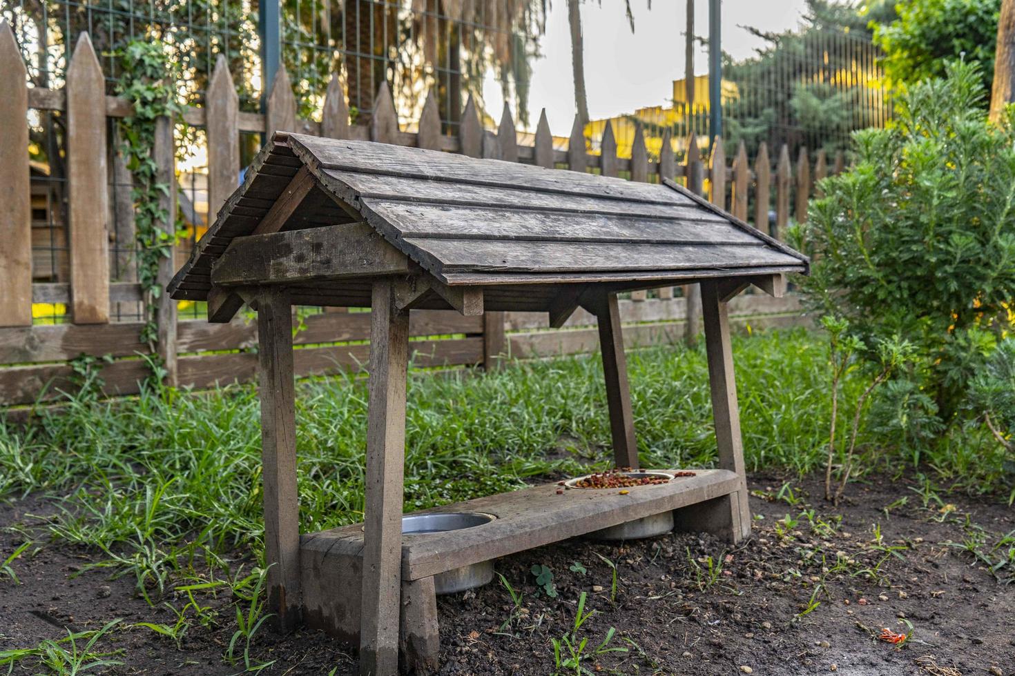 wooden cat house in the garden photo