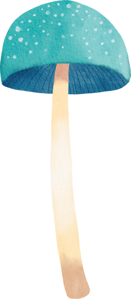 Watercolor colorful mushroom png