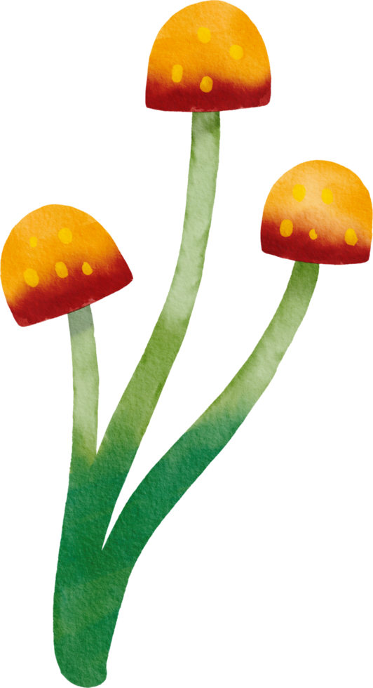 Watercolor colorful mushroom png