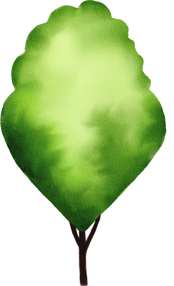 Green tree watercolor painted png