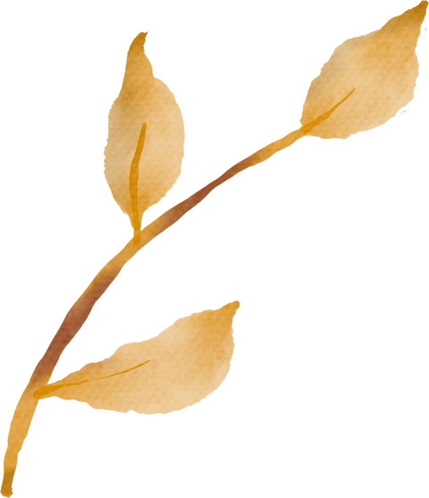 Leaf watercolor painted png