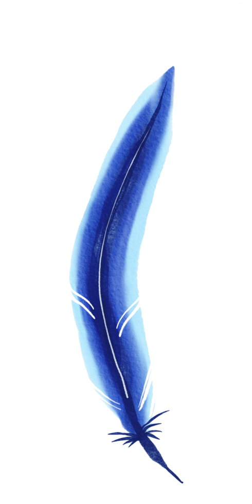 watercolor painted feather png