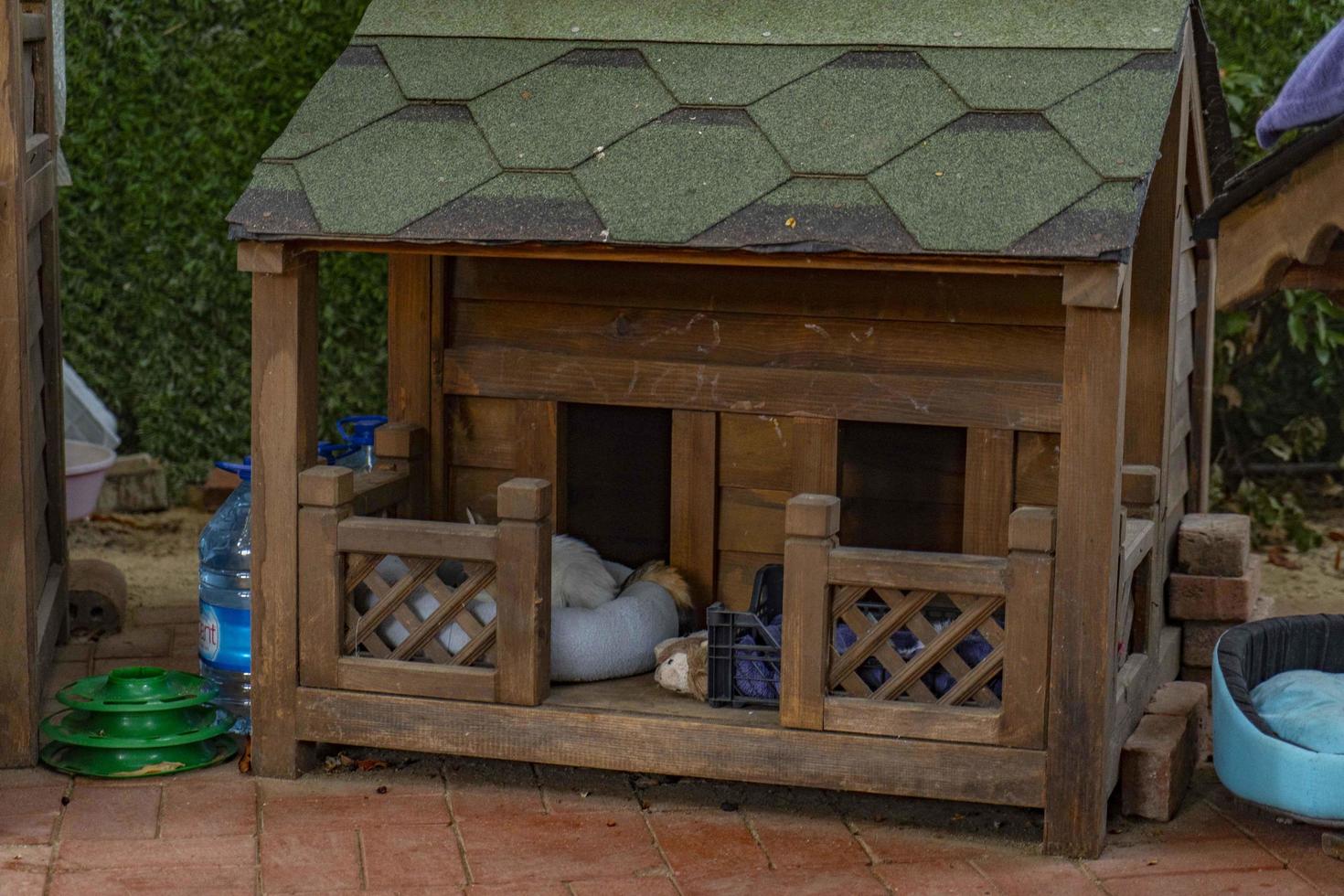 wooden cat house in the garden photo