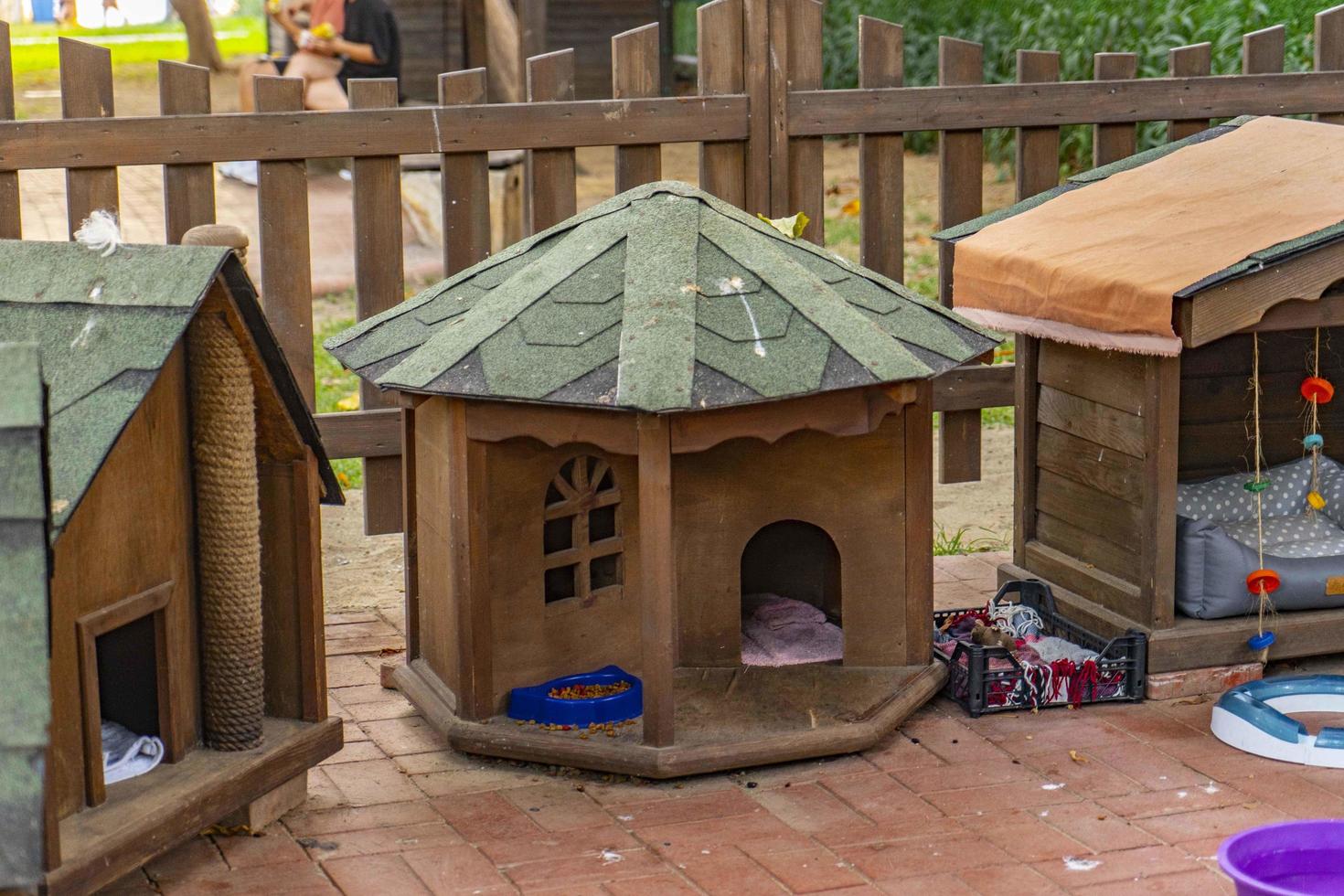 wooden cat house in the garden photo