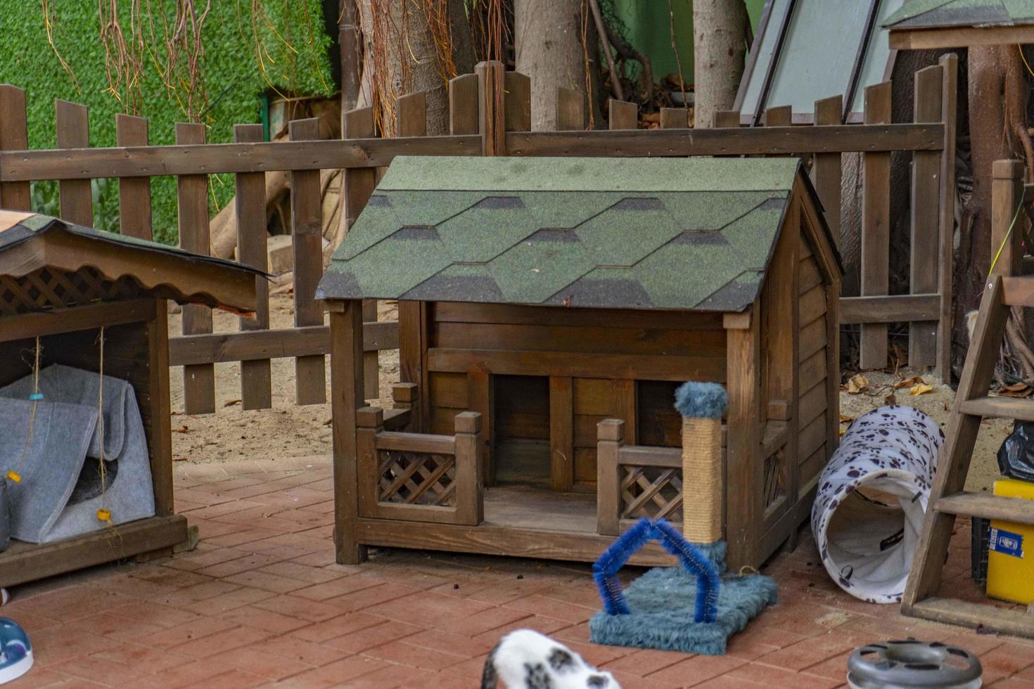 wooden cat house in the garden photo