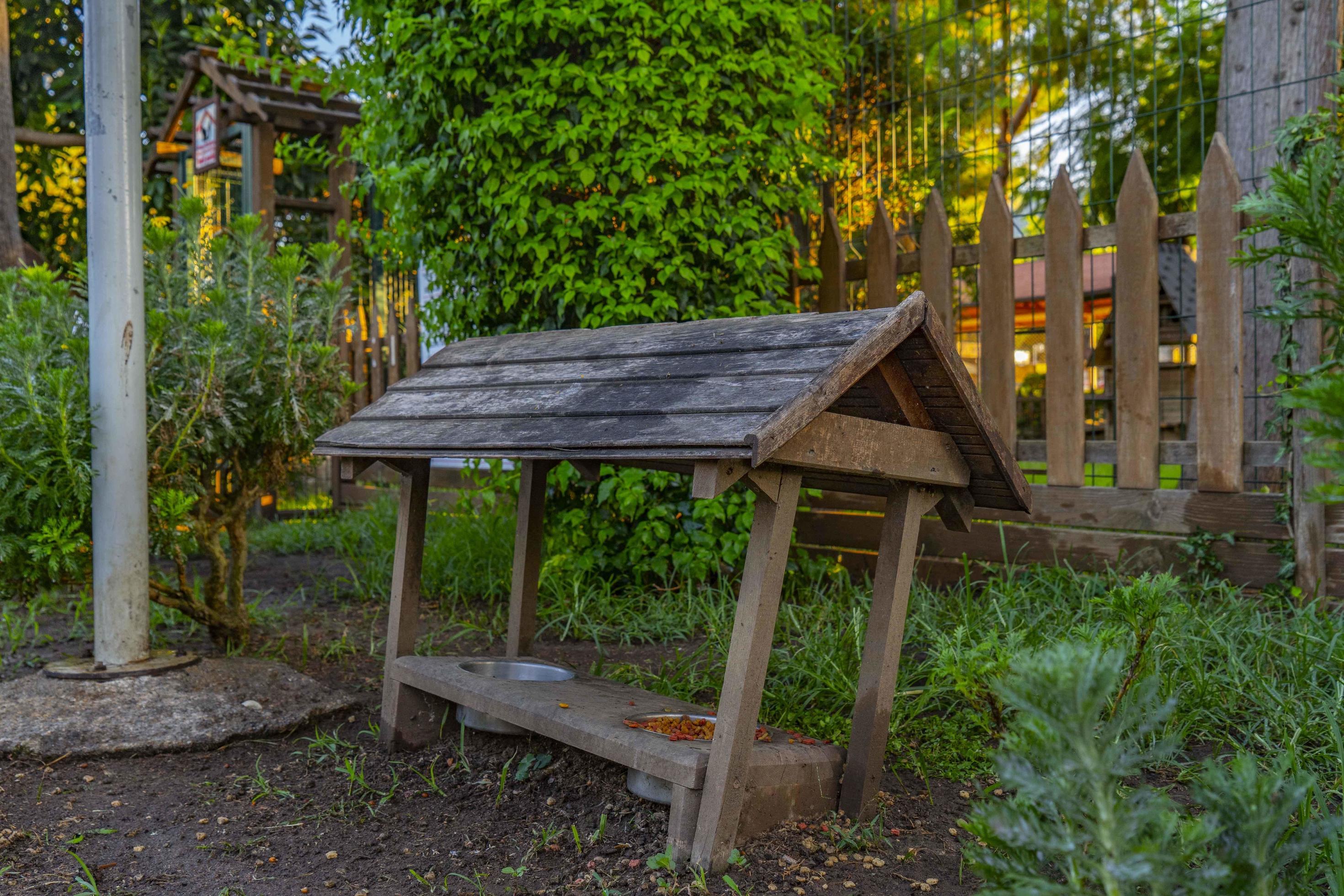 Wooden Cat House In The Garden 11215932 Stock Photo At Vecteezy wooden-cat-house-in-the-garden-11215932-stock-photo-at-vecteezy
