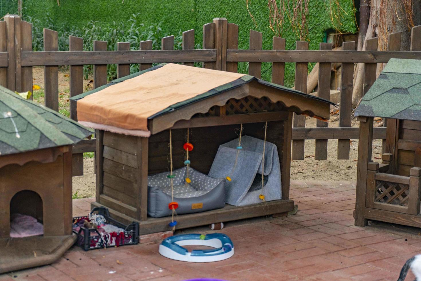 wooden cat house in the garden photo