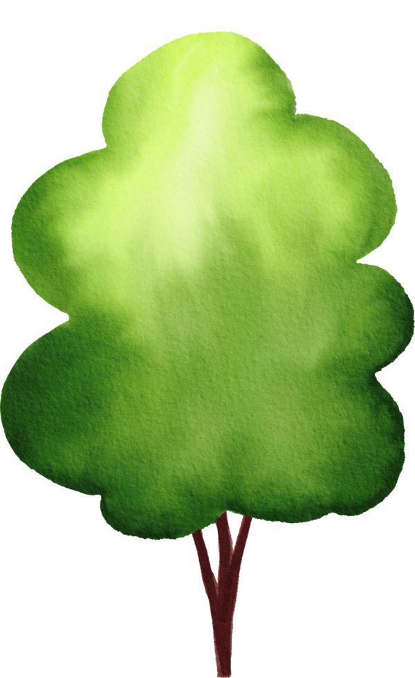 Green tree watercolor painted png