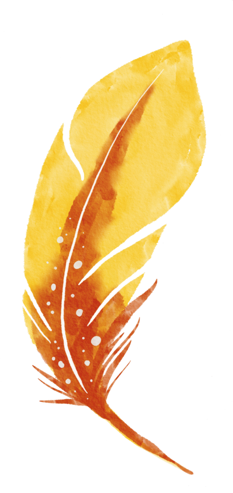 watercolor painted feather png