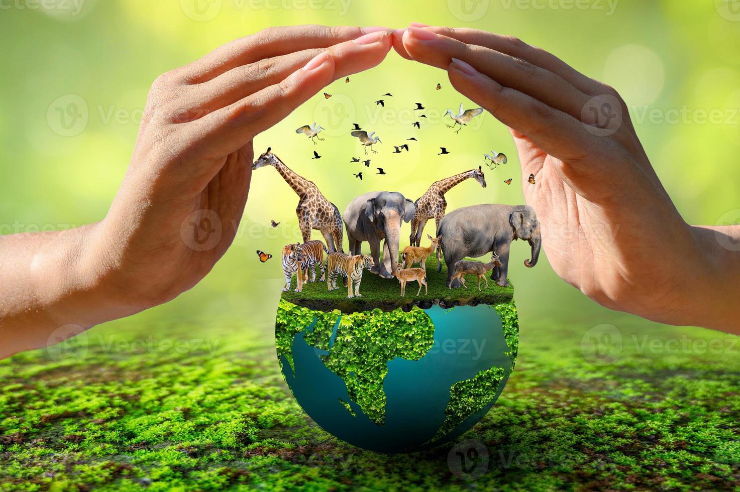 World Animal Day World Wildlife Day  Groups of wild beasts were gathered in the hands of people photo