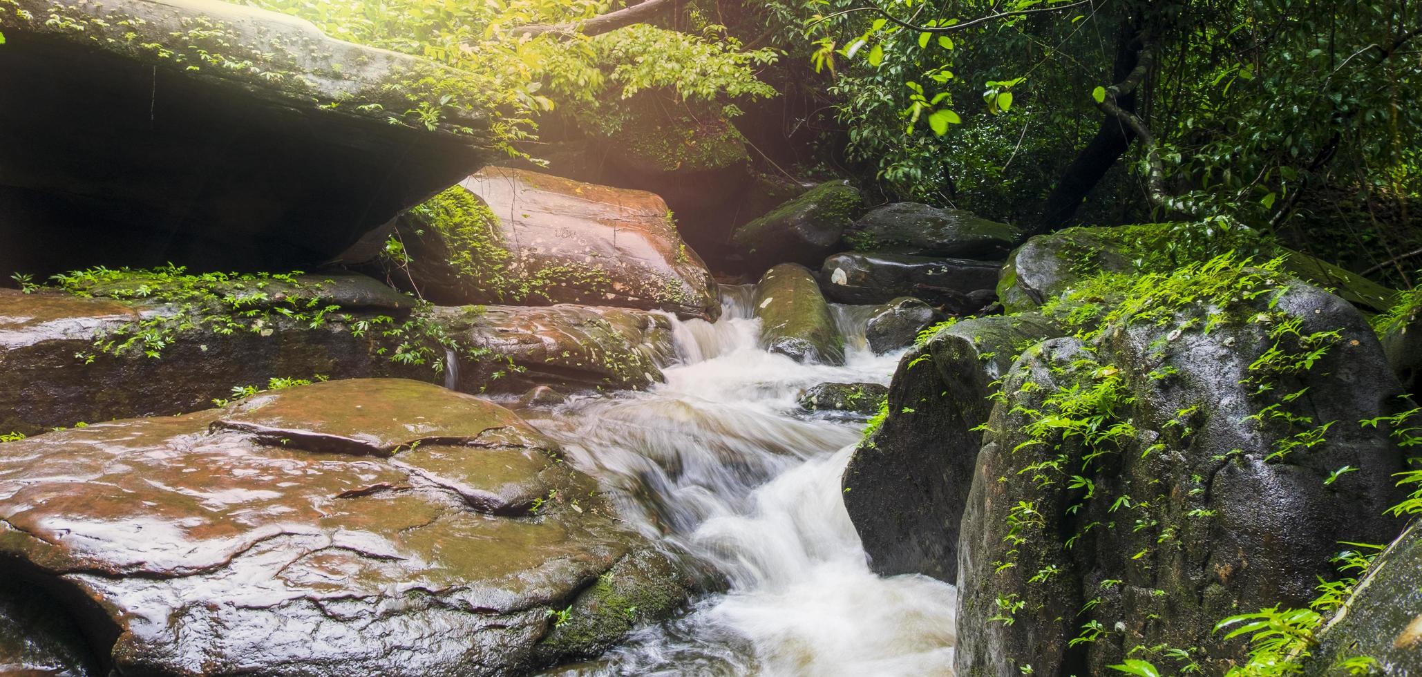 A waterfall flowing through rocks within a lush forest. in Bueng Kan Province, Thailand photo