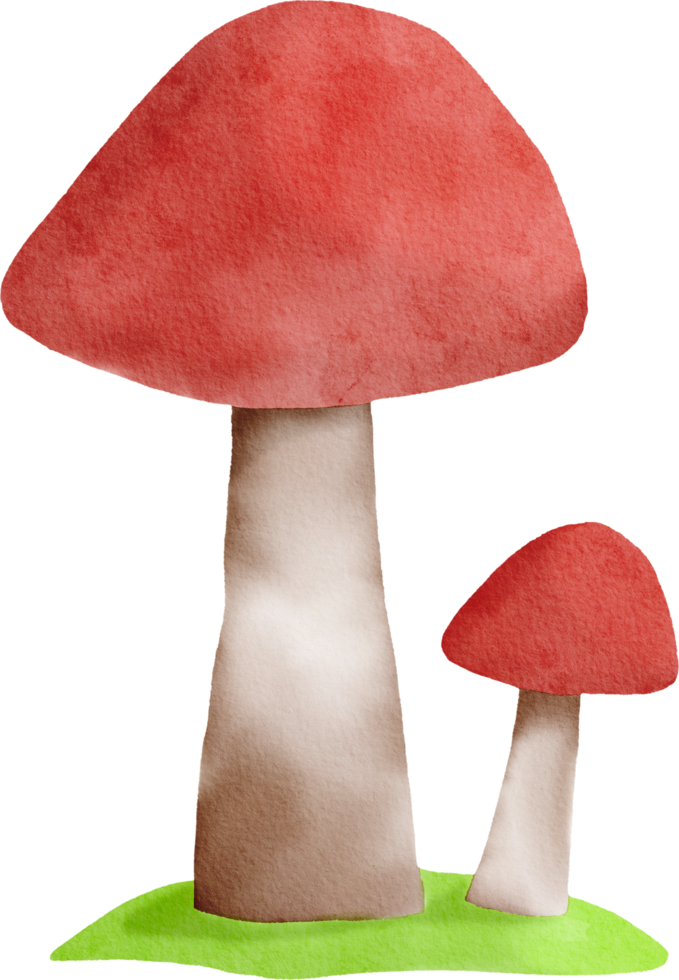 champignon coloré aquarelle png