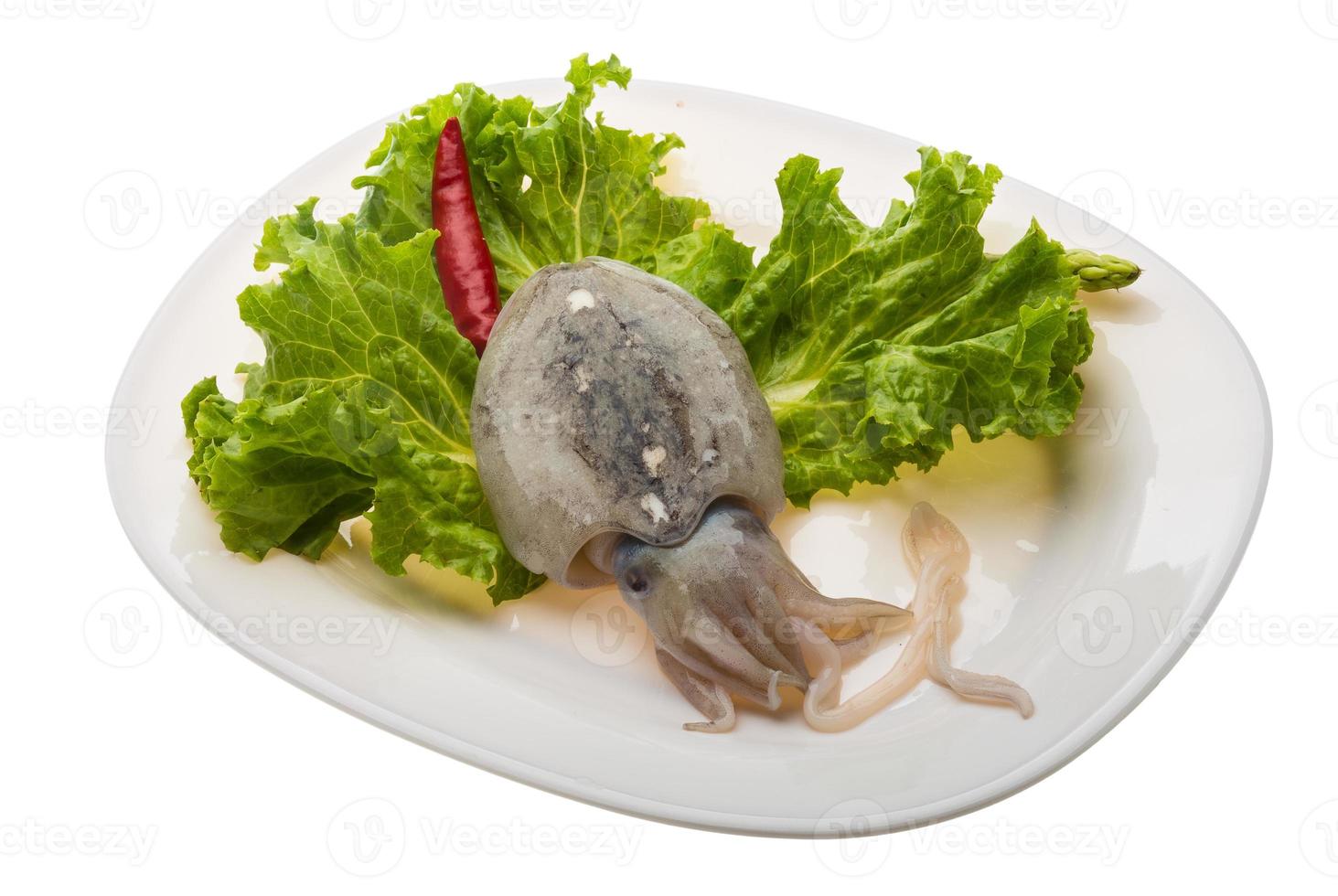 Raw cuttlefish on the plate and white background photo