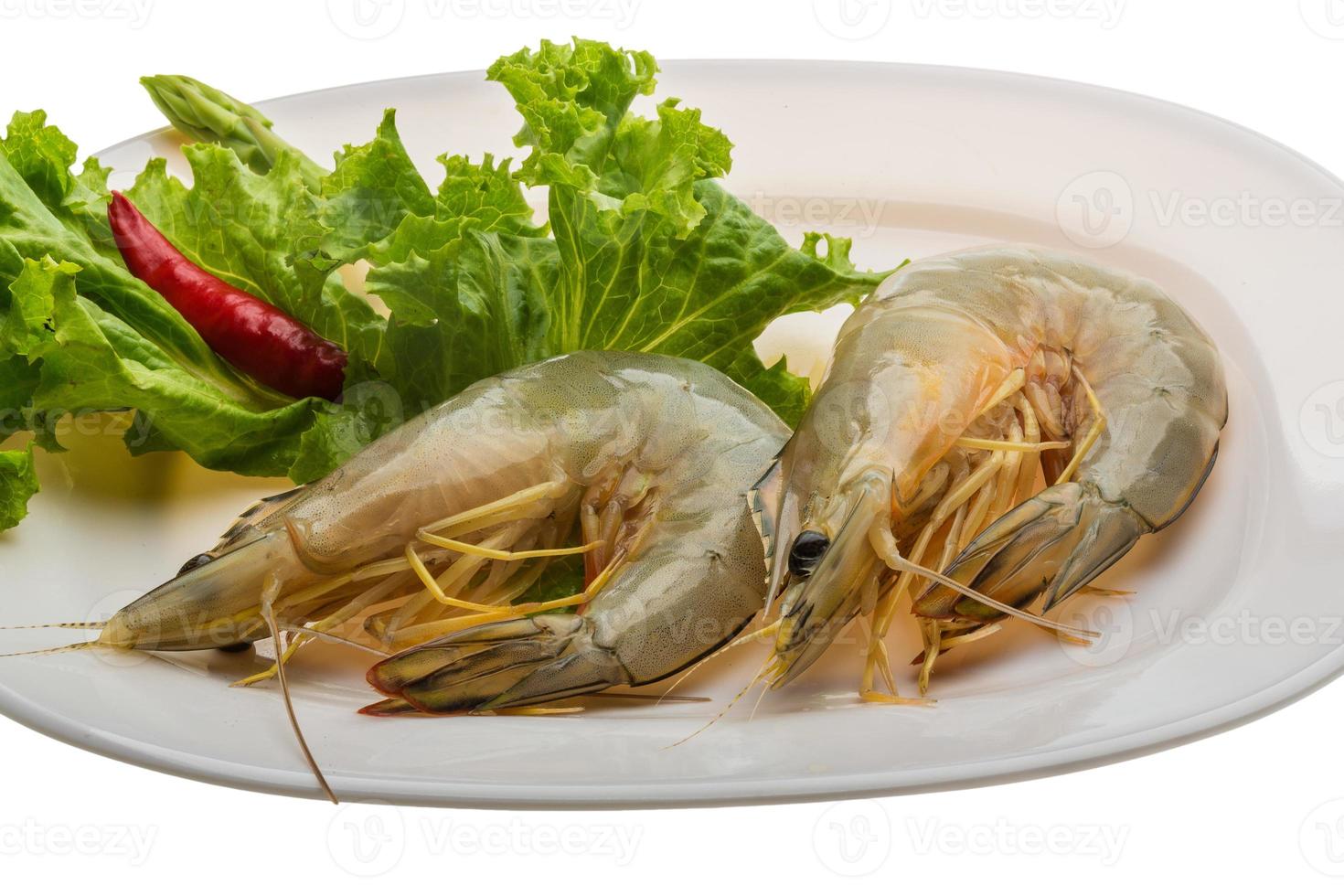 Tiger prawn on the plate and white background photo