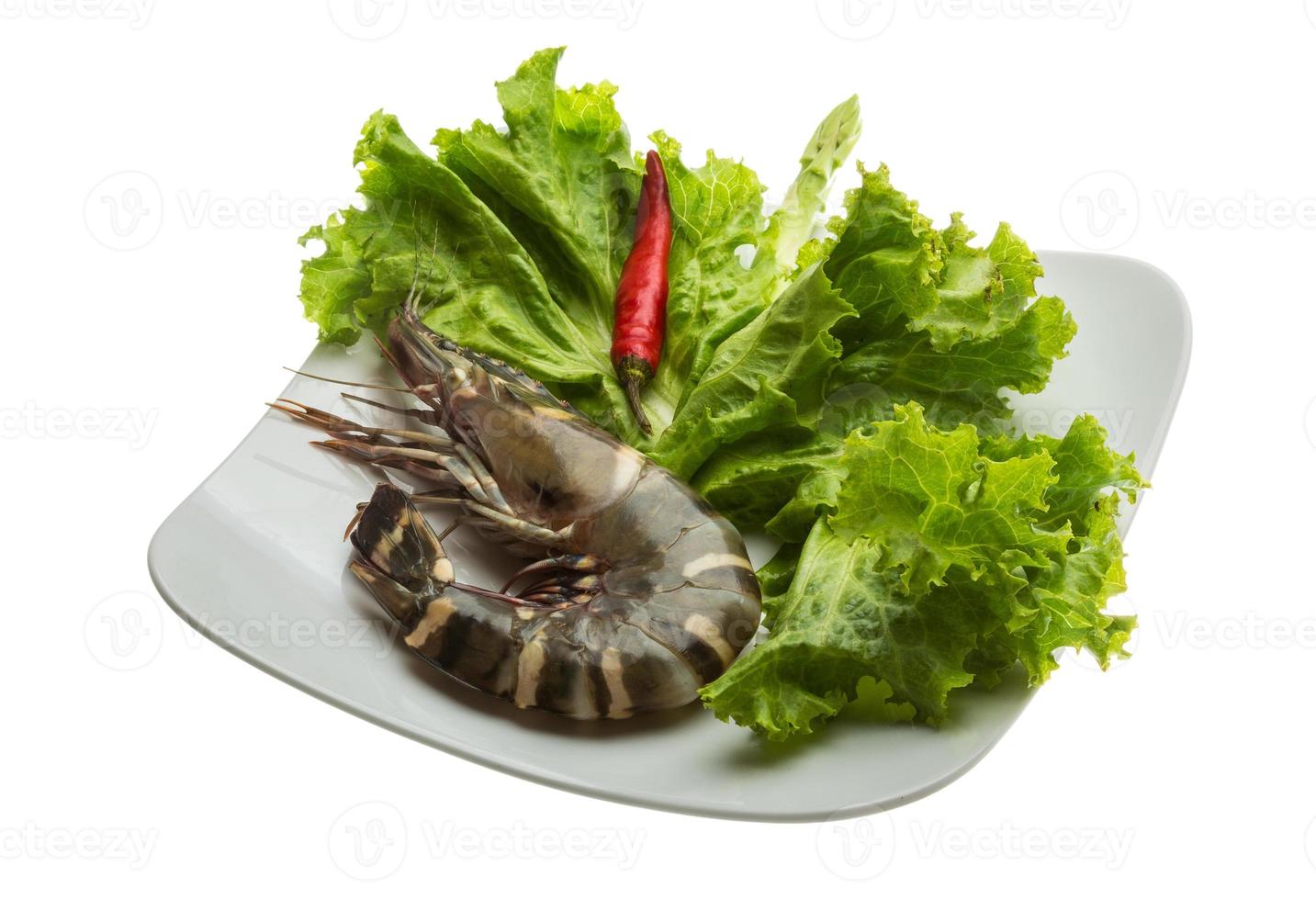 Tiger prawn on the plate and white background photo
