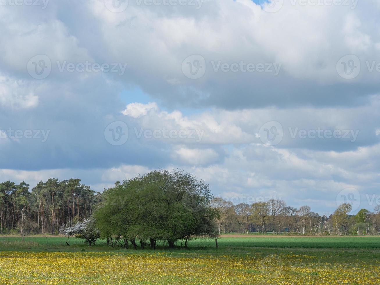 senderismo en el dingdener heider foto