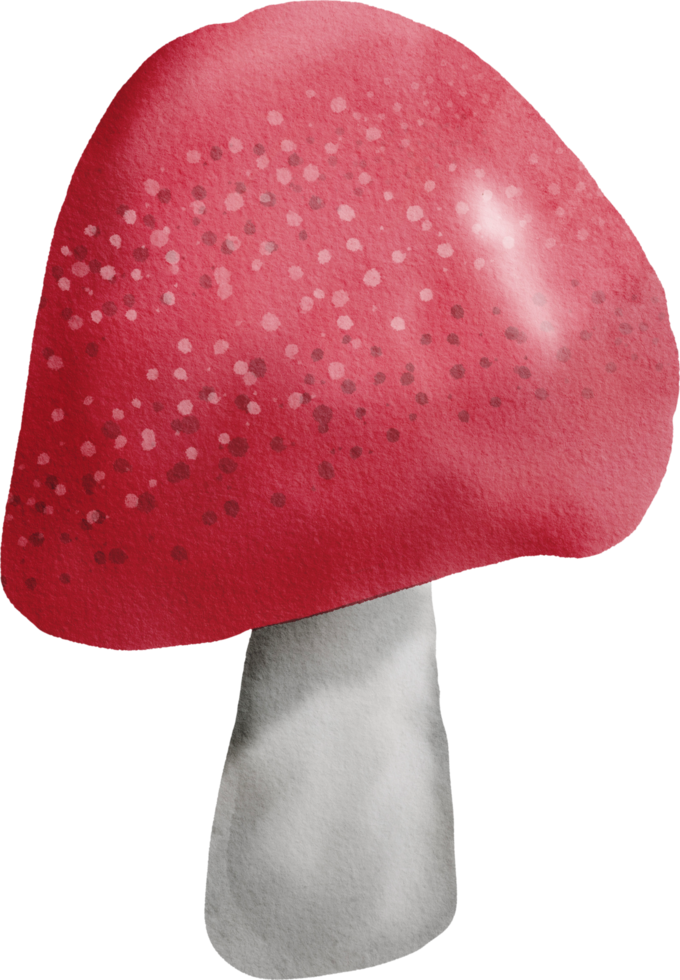 champignon coloré aquarelle png