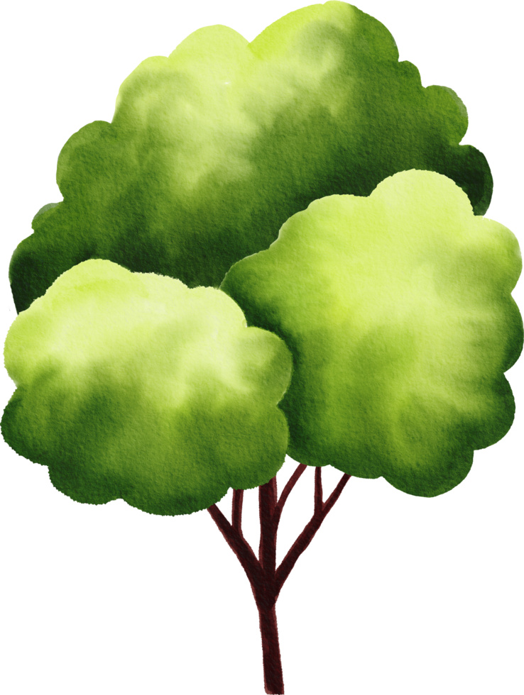 Green tree watercolor painted png