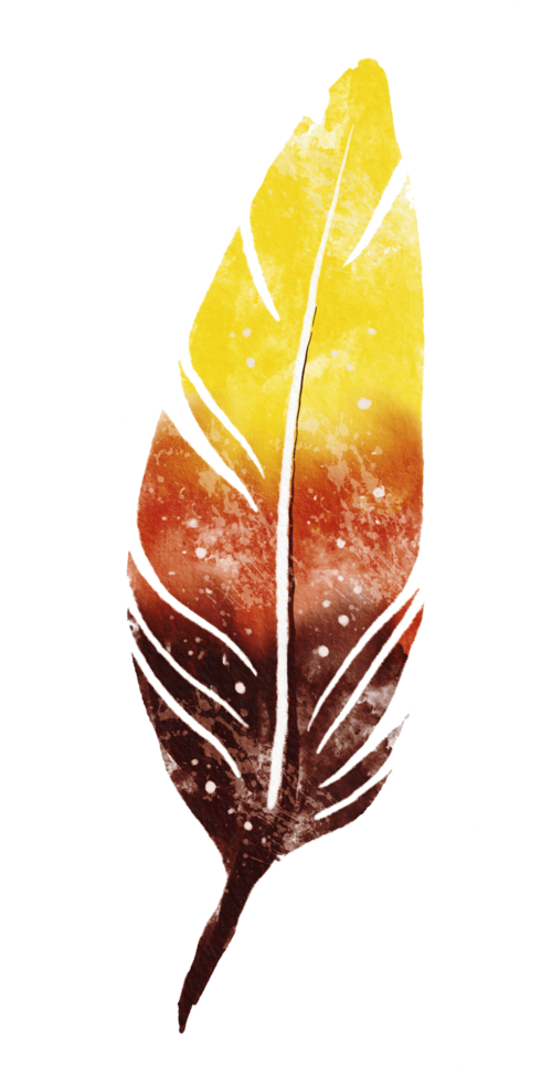 watercolor painted feather png