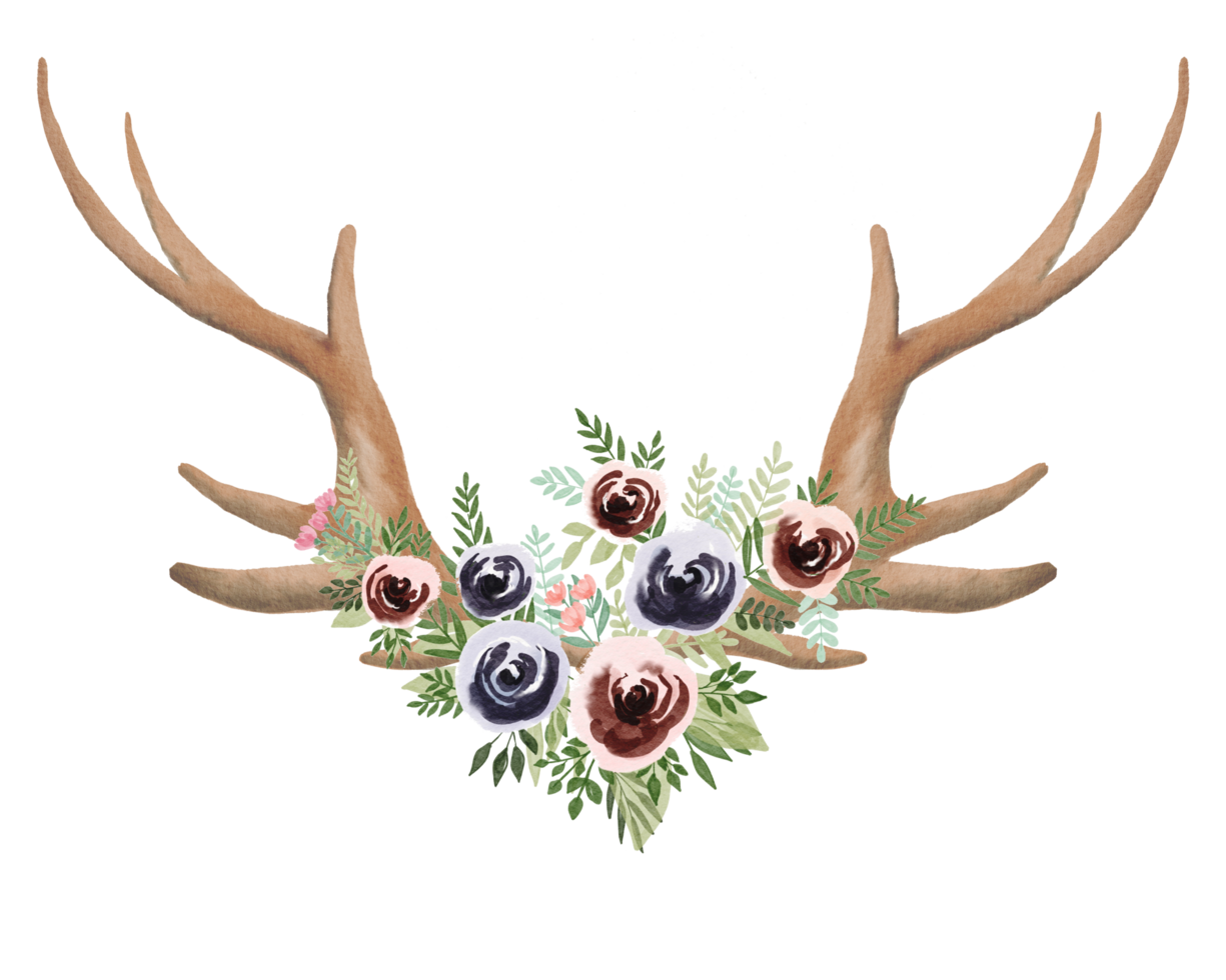 watercolor antler and flower png