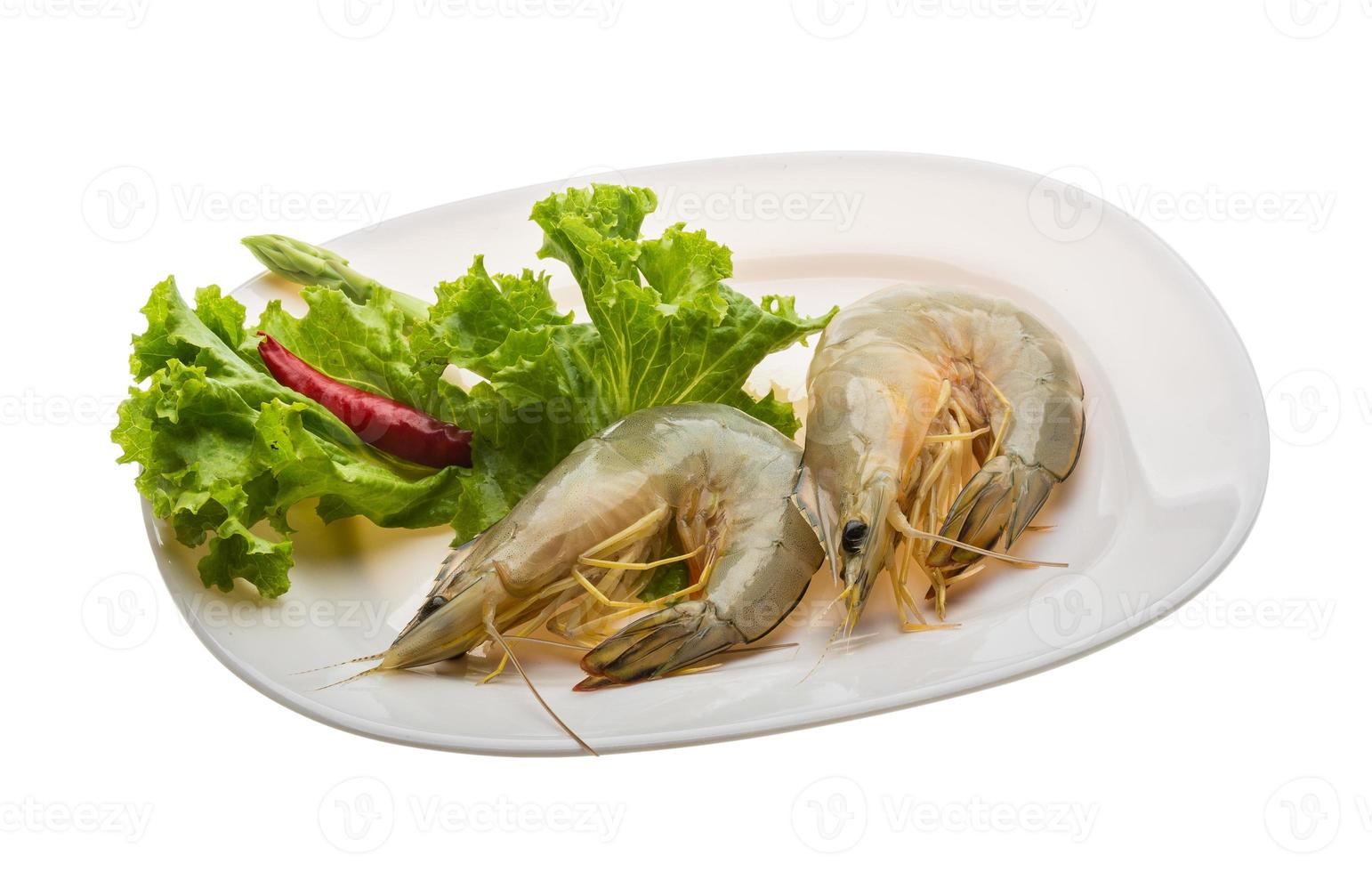 Tiger prawn on the plate and white background photo
