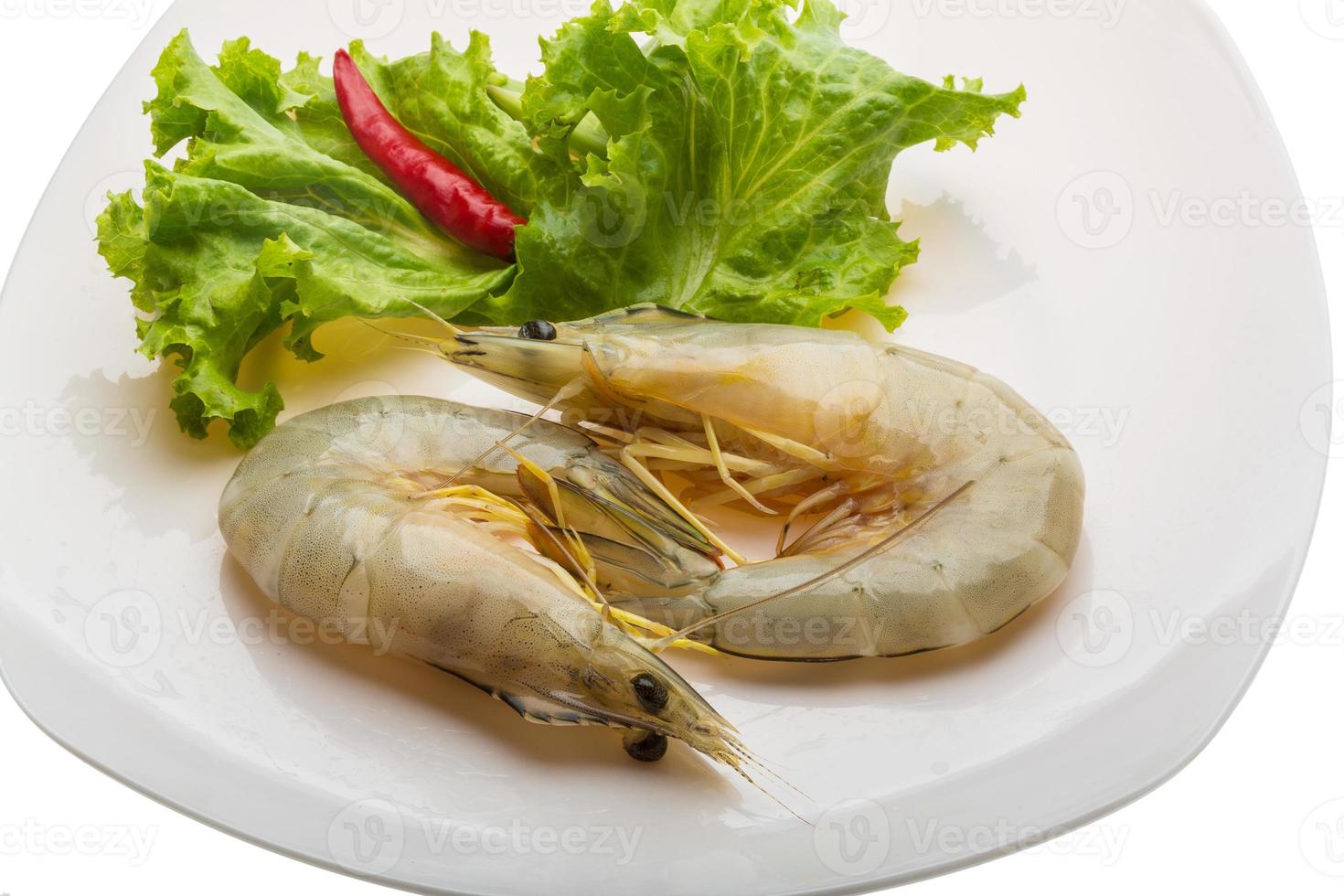 Tiger prawn on the plate and white background photo