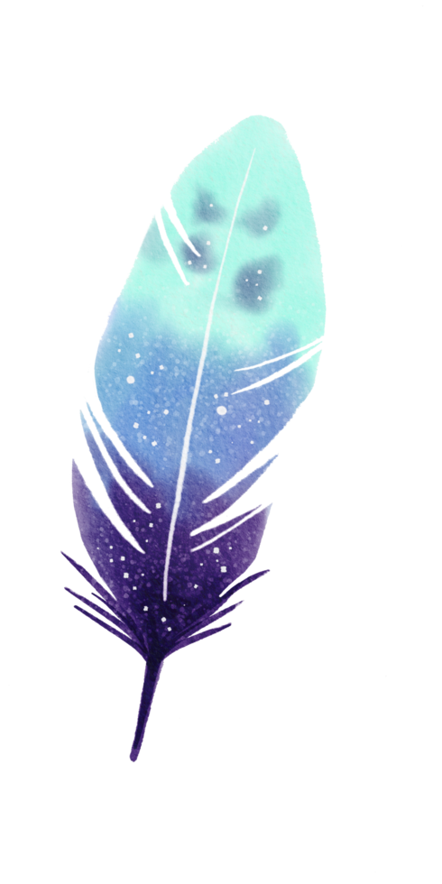 watercolor painted feather png