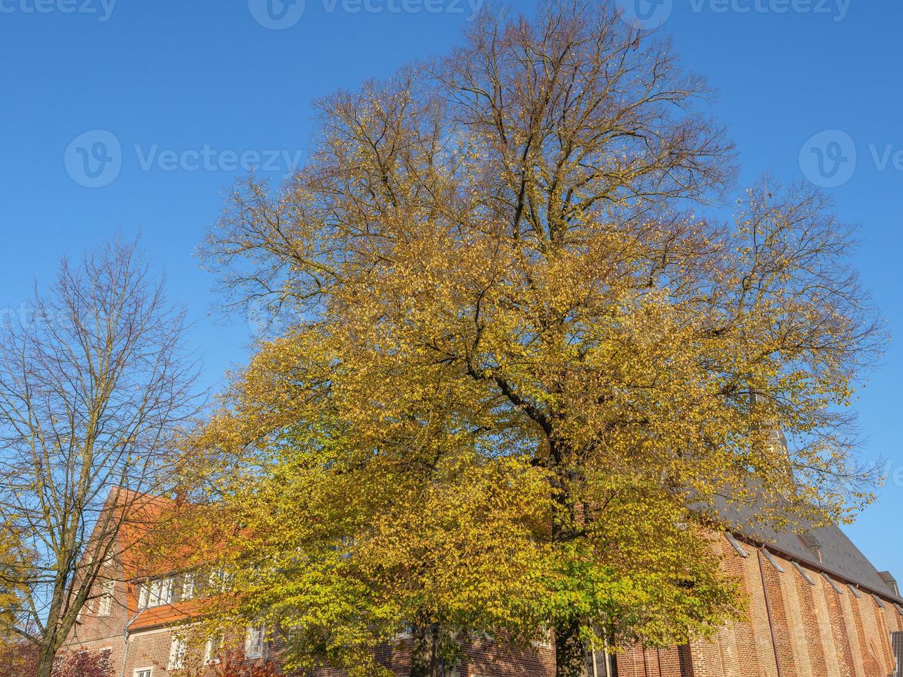 the small village Burlo in westphalia photo