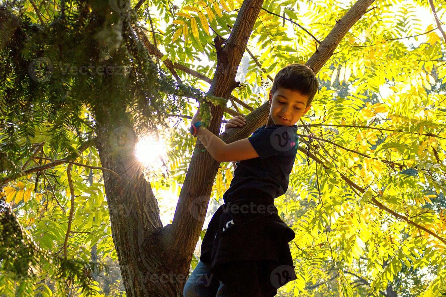 Below view of happy boy climbing on tree at the park. photo