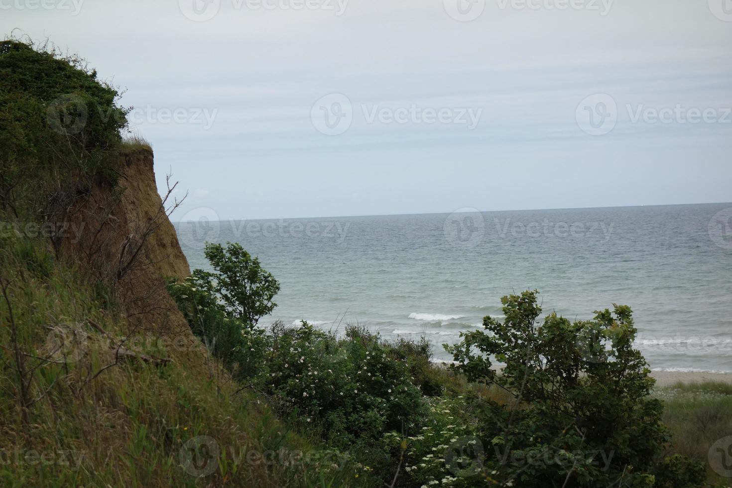 the island of zingst at the baltic sea photo