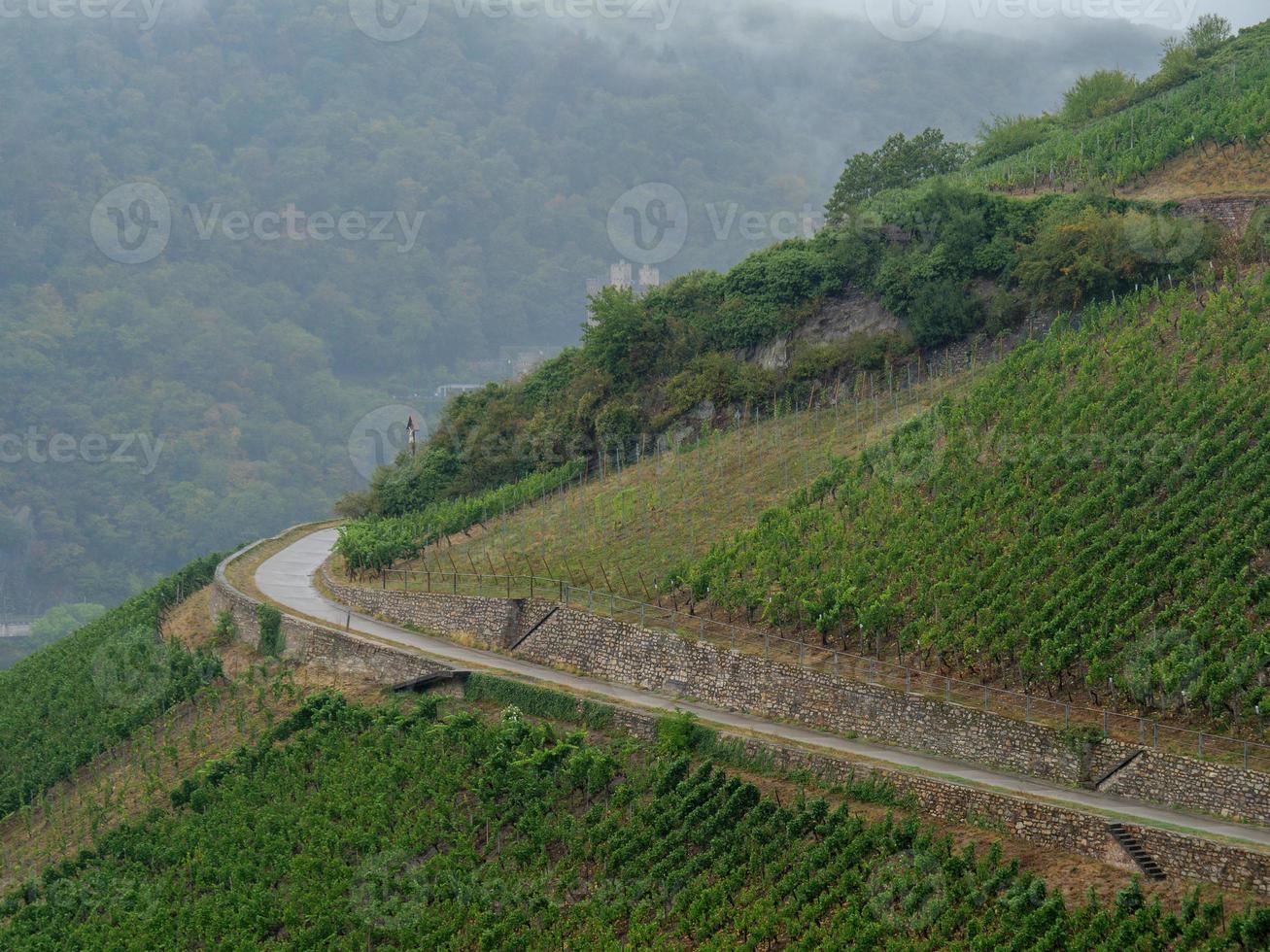 el río rin cerca de bingen foto