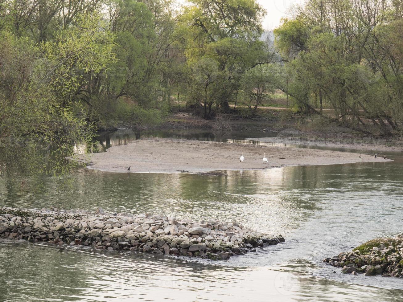 the river rhine in germany photo