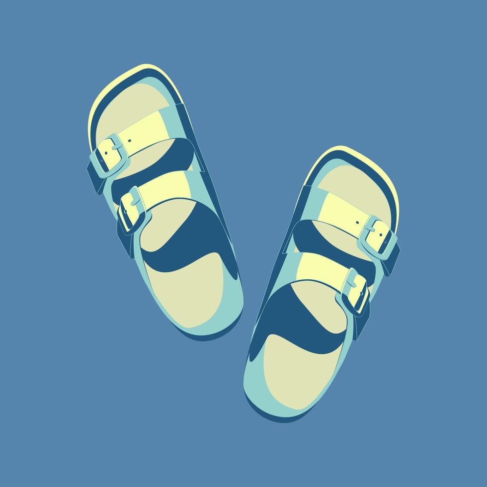 Shoes beach flip flops on a blue background vector