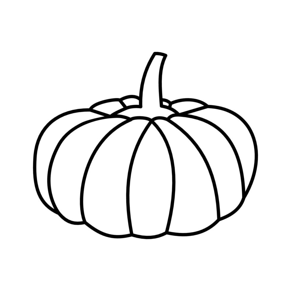 Pumpkin vegetable in line art technique vector