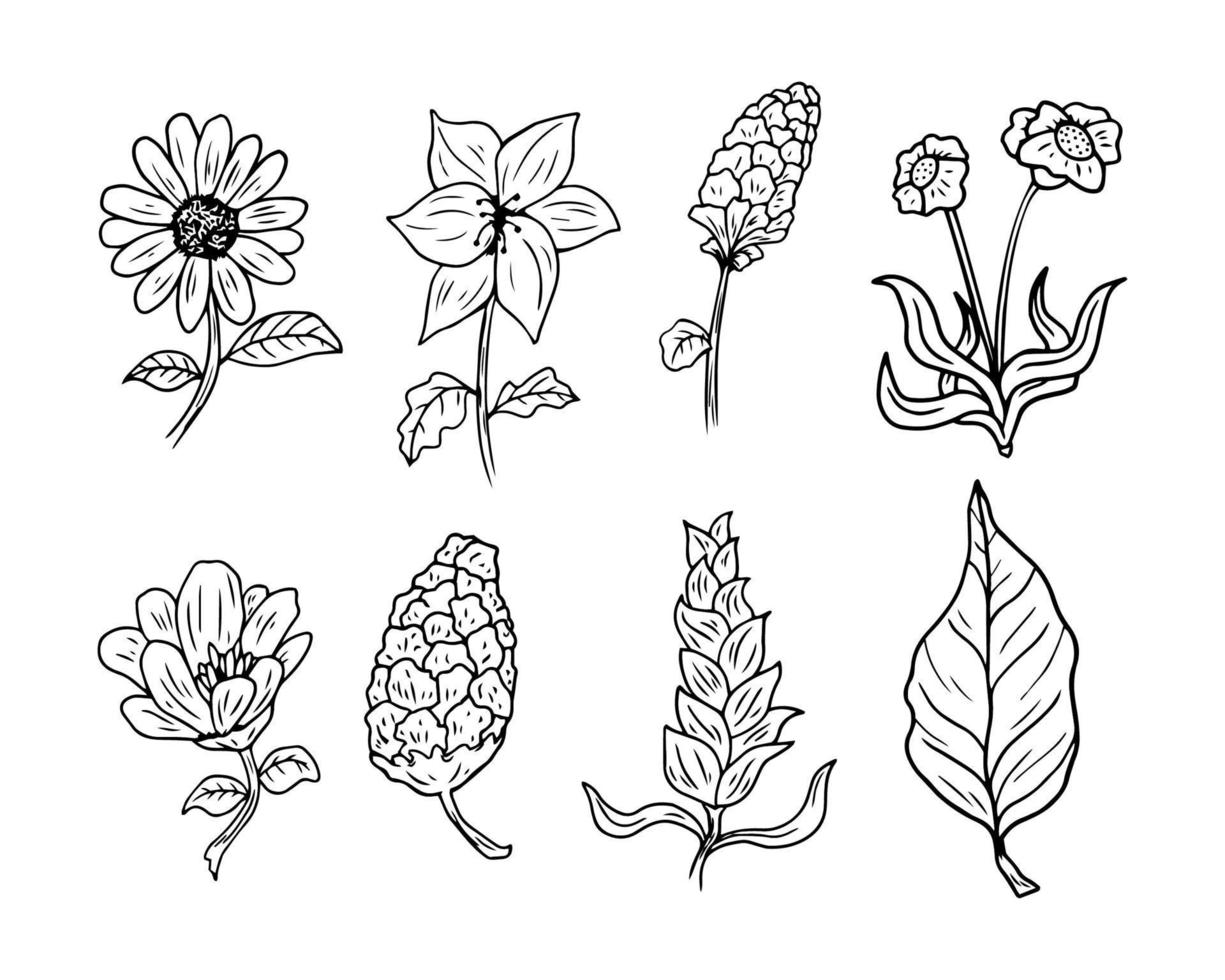 vector de activos de diseño de flores