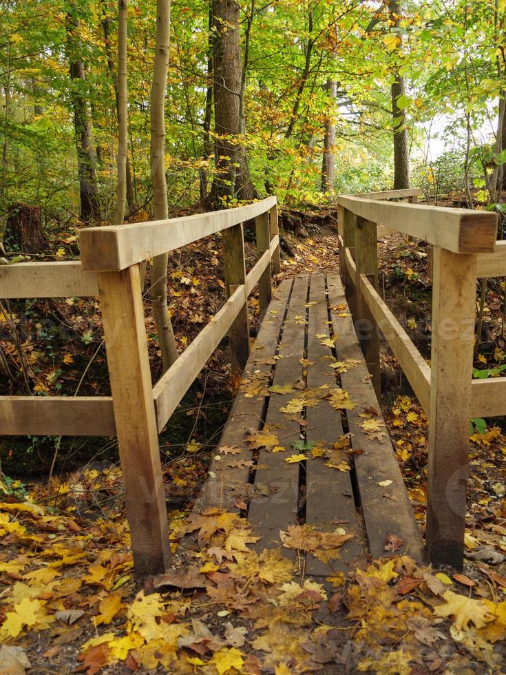 tiempo de otoño en westfalia foto