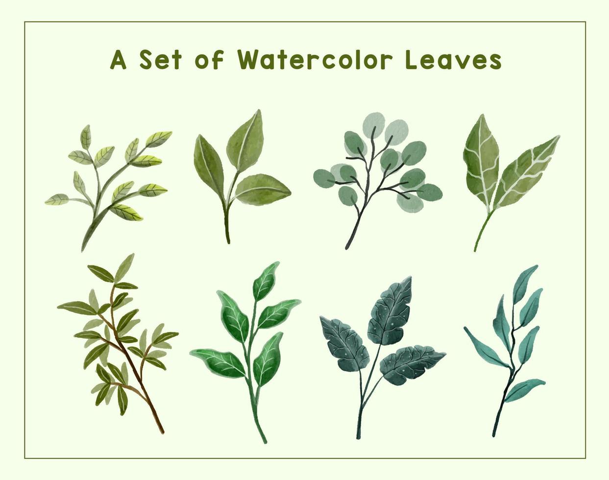 Set of watercolor leaves for decoration vector